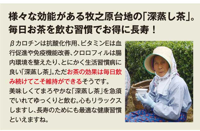 【2個セット】日本橋いなば園 静岡深蒸し茶 荒茶づくり 100g ネコポス メール便送料無料