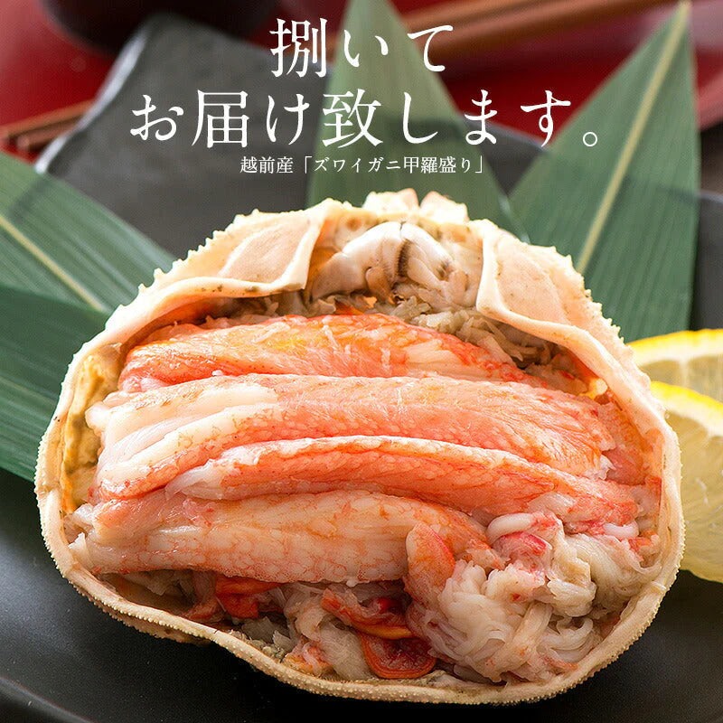 越前産ズワイガニ 甲羅盛り 中サイズ×3個（甲羅横幅 約11cm）越前産 ずわい蟹 海鮮 越前がに ずわい甲羅盛り 越前ガニ ズワイ ずわい 越前蟹 ずわいがに 高級グルメ お取り寄せグルメ 食品 食べ物 母の日 プレゼント ギフト  母の日思いの 健康 実用的 父の日 子供 孫
