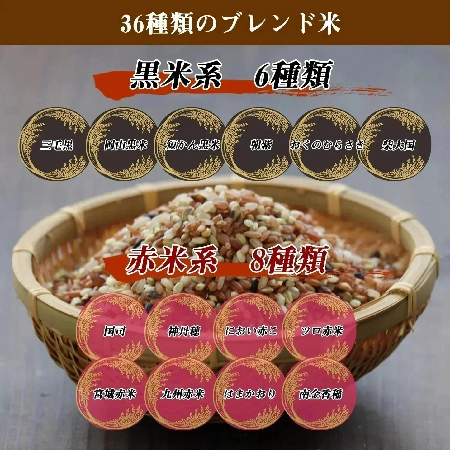 【300g】36種類の古代米ブレンド いろいろ米 送料無料 国産 大分県産 栽培期間中 農薬不使用 無農薬 化学肥料不使用 自然農法 掛け干し米 共生栽培 オーガニック お米 玄米 うるち米 黒米 赤米 緑米 ミックス 混ぜるだけ