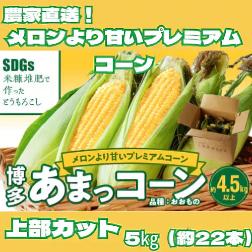 農家直送！メロンより甘い！博多あまっコーン4.5㎏【上部カット品】（約22本）（冷凍）