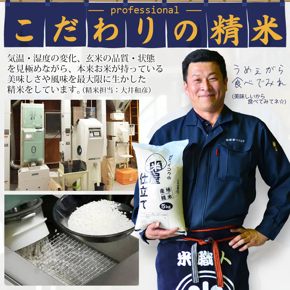 白米 10kg (5kg×2袋) にこちゃん飯 国内産 送料無料 米10キロ こめ コメ お米 新米 お米10kg