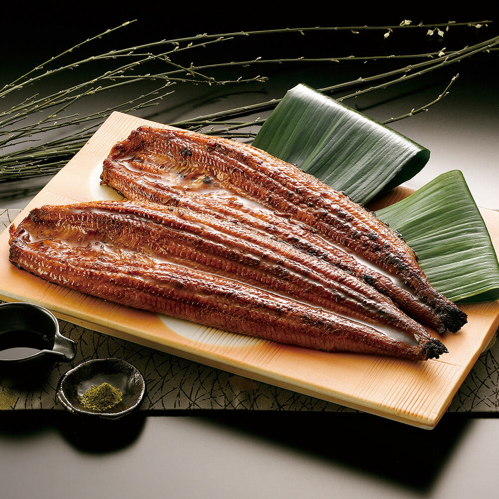 九州産 うなぎの蒲焼き RE-371【お届け不可地域：沖縄・離島】