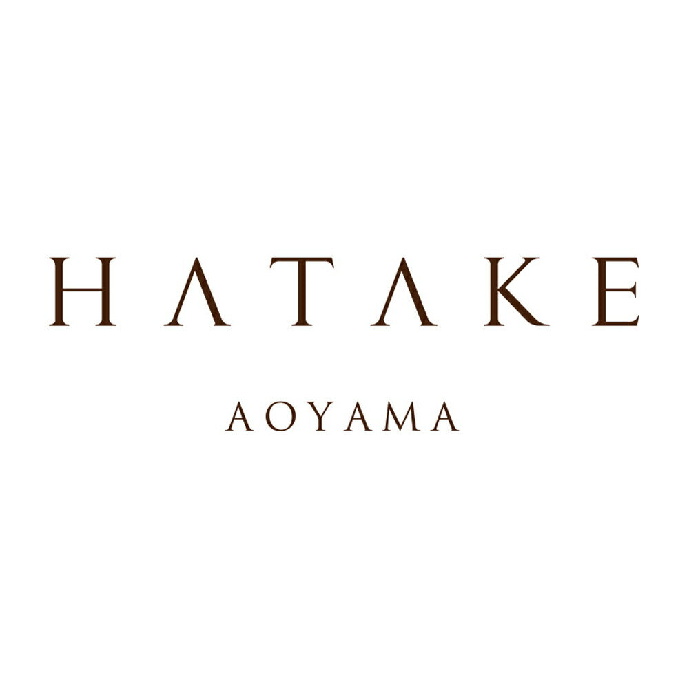 「HATAKE AOYAMA」玉ねぎと生姜のスープ  LD03P1674A【お届け不可地域：沖縄・離島】