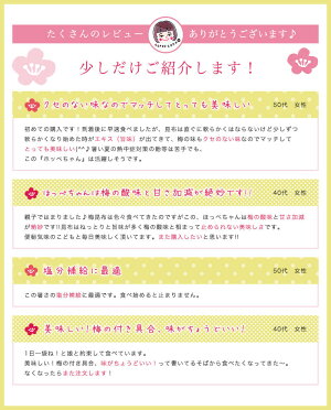[セット]梅味おやつ昆布ホッペちゃん 8袋 北海道産昆布・紀州産梅肉使用