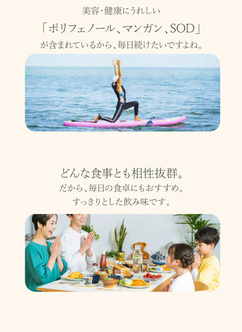 業務用 水出しルイボス １ℓ用（15リットル分 ルイボスティー ティーライフ ティーバッグ 大容量 ノンカフェイン ハーブティー 美容 健康 ミネラル ）