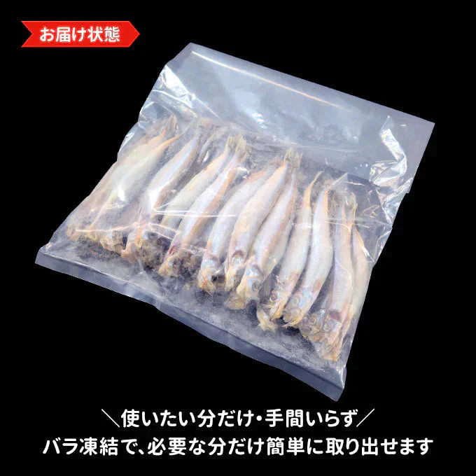 好評につき完売いたしました。子持ちししゃも 500g 送料無料