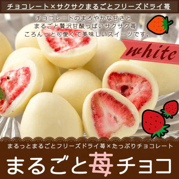 チョコレート チョコ 送料無料 訳あり スイーツ ストロベリーチョコ 苺 イチゴまるごとチョコレート チョコ 30個入り [ いちごトリュフ フリーズドライ ホワイトチョコ いちご お菓子 大量