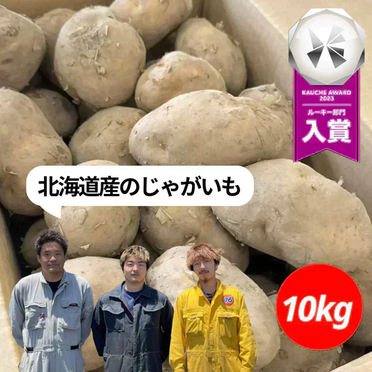 訳あり北海道じゃがいも10kg