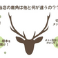 【送料無料】鹿角　Lサイズ　1本　ペット　歯石　口臭　ストレス解消　おもちゃ　お留守番　しか　ツノ