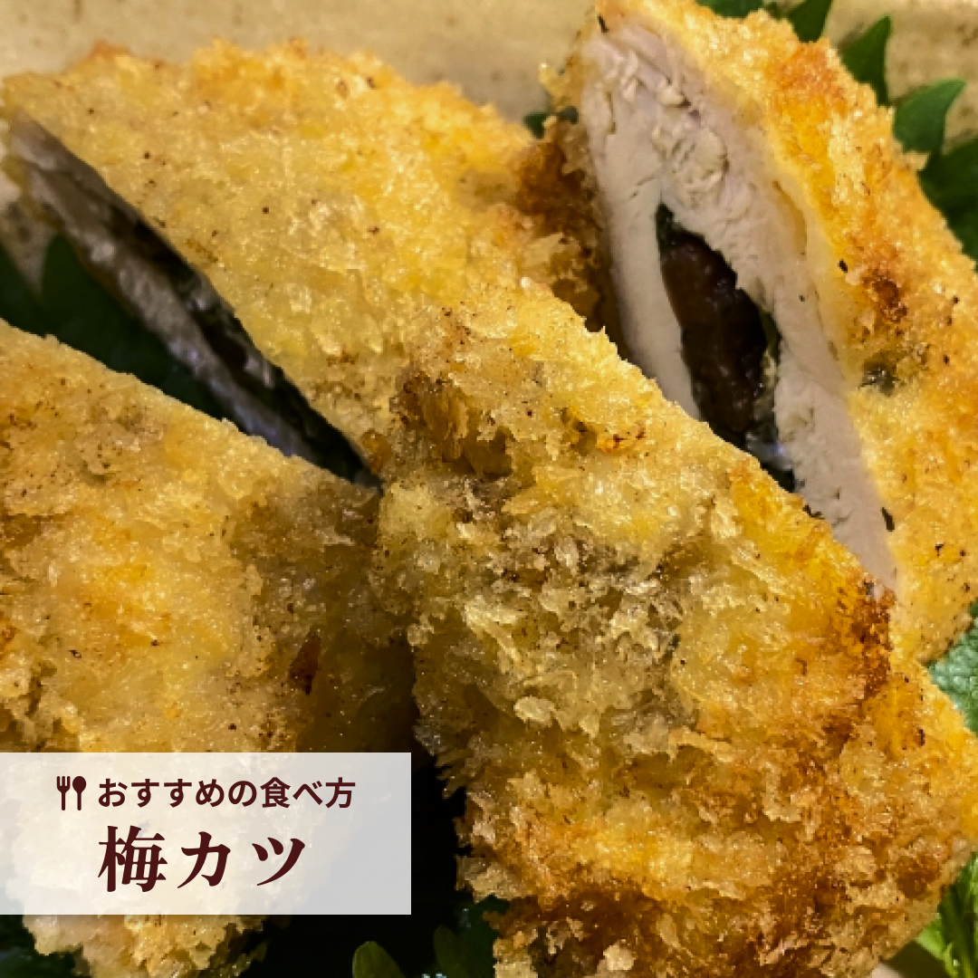 つぶれ梅（はちみつ入）800ｇ(400ｇ×2袋)【ゲリラセール】