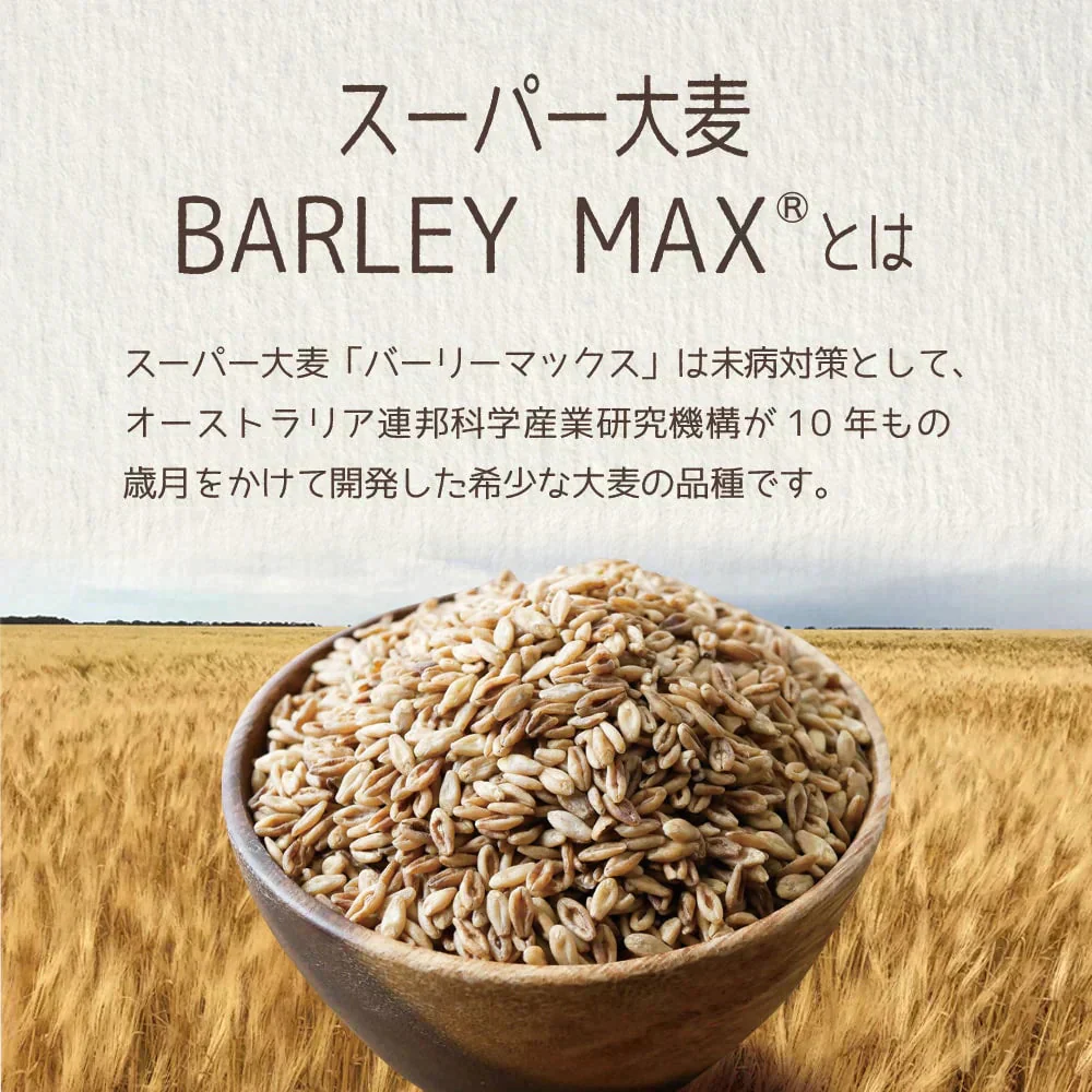 α化 スーパー大麦 800g/袋 バーリーマックス ダイエット 食物繊維 ミネラル スーパーフード 大麦 もち麦 玄麦 腸活 雑穀 レジスタントスターチ β-グルカン  糖質カット 糖質オフ 糖質制限