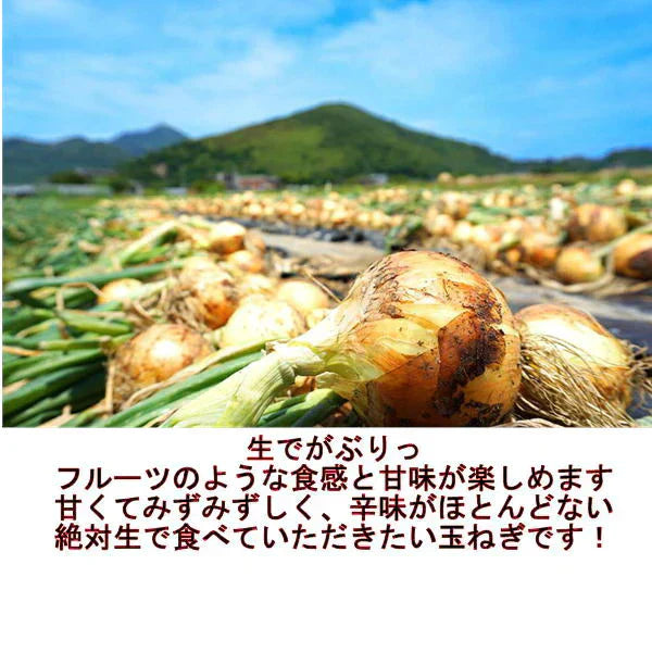 塩たまちゃん　訳あり　箱込10ｋｇ