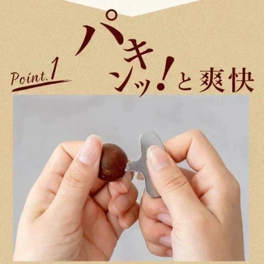 殻付きマカダミアナッツ 300g 送料無料【ご新規さん限定商品】