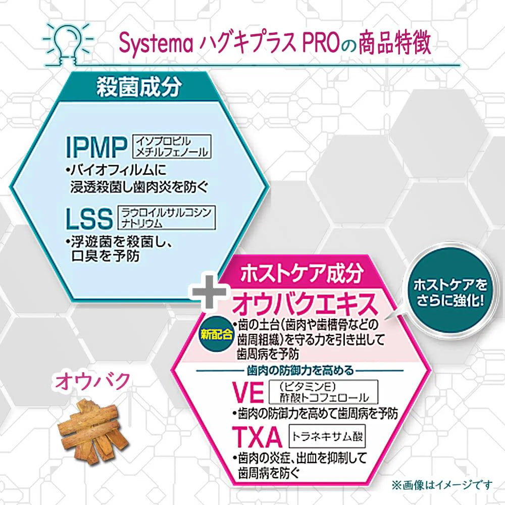 ライオン DENT システマ ハグキプラスPRO (Haguki Plus PRO) 1本(19g)お試しサイズ【試供品】【メール便送料無料】