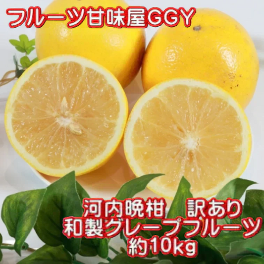 河内晩柑 訳あり 1箱 箱込10kg (9kg+保証分500g）熊本産