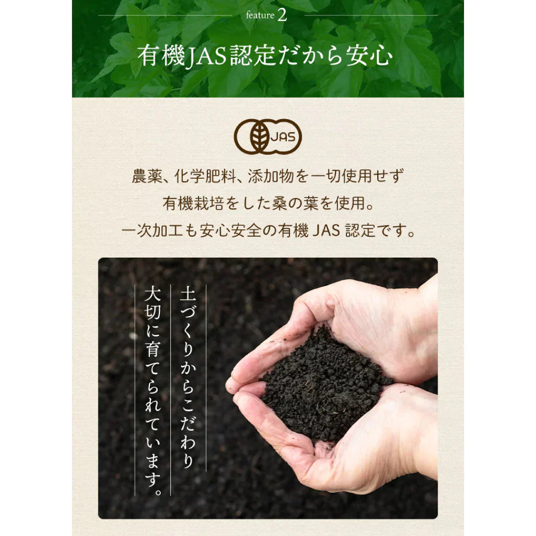 有機桑の葉茶　１００個入（スーパーフード オーガニック ティーバッグ 国産 お茶 ノンカフェイン 健康茶 人気）