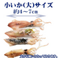いか おつまみ 小いか 国産 訳あり 無添加 広島県産 珍味（煮干）大サイズ 150g 瀬戸内海　燧（ひうち）灘産 メール便限定 送料無料 海鮮