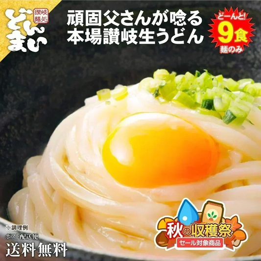 【注文殺到の為、11月4日から11月17日の発送】頑固父さんが唸る讃岐生うどん 【普通麺】 9食セット (麺300g×3袋 ) 送料無料 香川県 産地直送 お試し フード おすすめ グルメ食品 人気 ポスト投函 お取り寄せ おつまみ