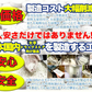 【メガ盛り 大容量お得４ヵ月分・ダイエットフォルスコリ】TVCMでも話題のダイエット成分 コレウスフォルスコリ フォルスコリ 燃焼系 サプリメント 燃焼サプリ 燃焼ダイエット ダイエッター専用 ダイエットサプリメント フォルスコリー フォルスコリン 売れ筋 爆安 激やせ 痩せる 減量 スリム すっきり スッキリ キレイ 格安 お得 激安 コスパ最高 コスパ最強 お肌 健康食品 20代 30代 40代 50代 60代 健康サプリメント 日本製 国産