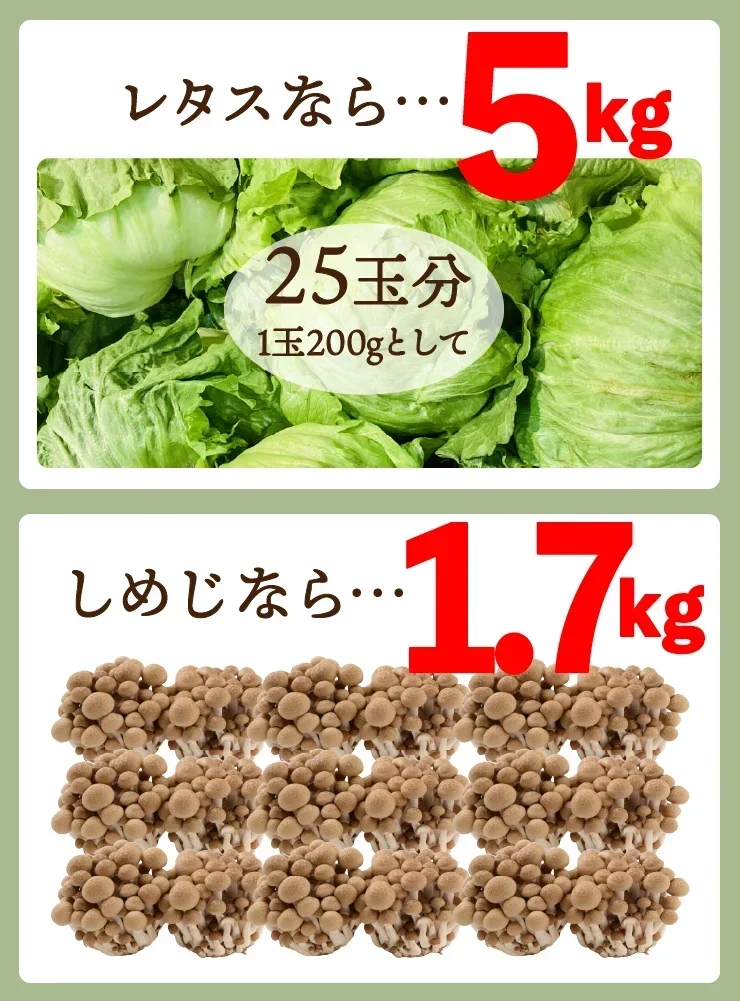 女王様のすごいねばねばスープ 12包／野菜買うより断然お得 1日の不足分６０００ｍｇネバネバ食物繊維／おいしく腸活　ぷるるん姫