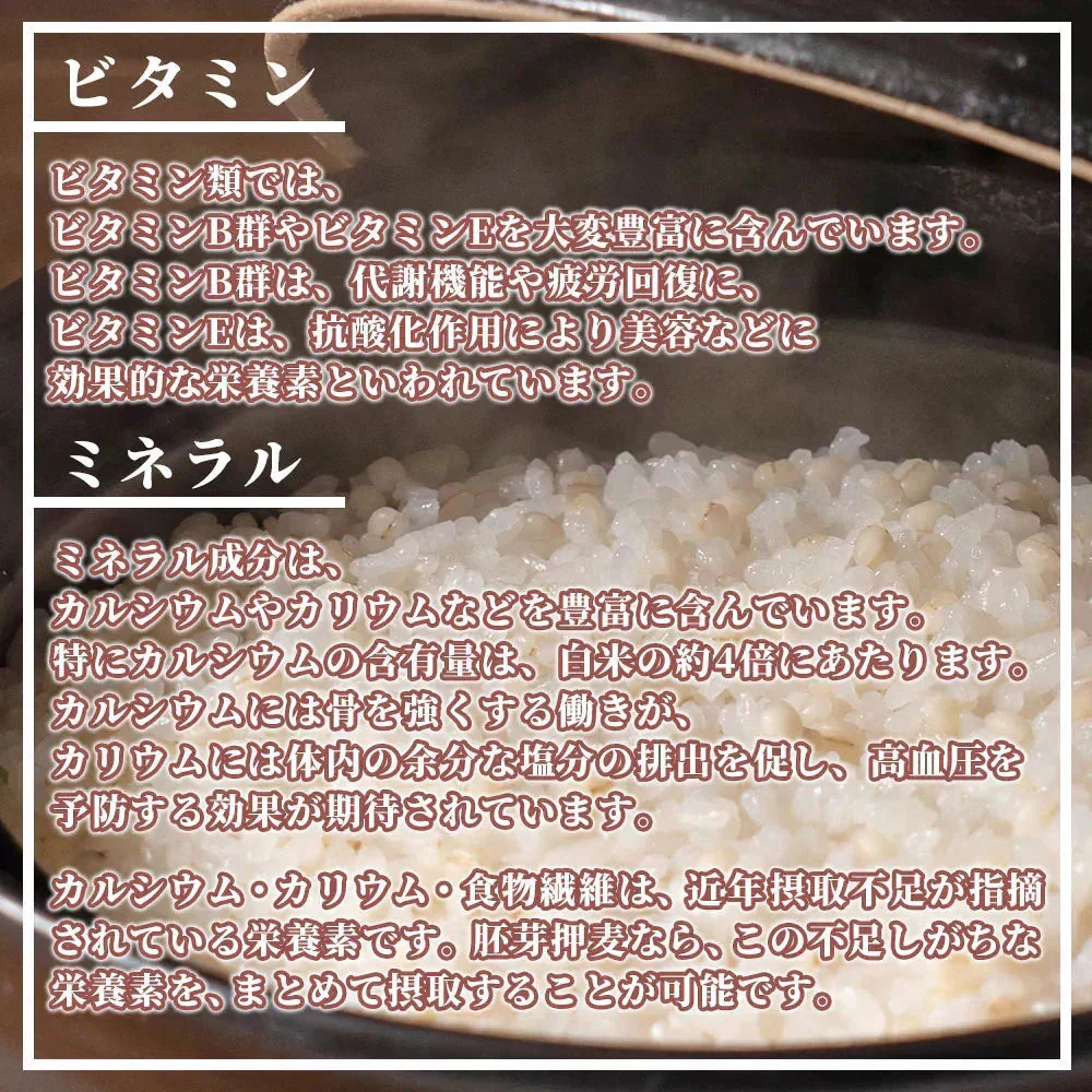 雑穀 雑穀米 国産 丸麦 1.6kg(400g×4袋) 人気サイズ 無添加 無着色 送料無料