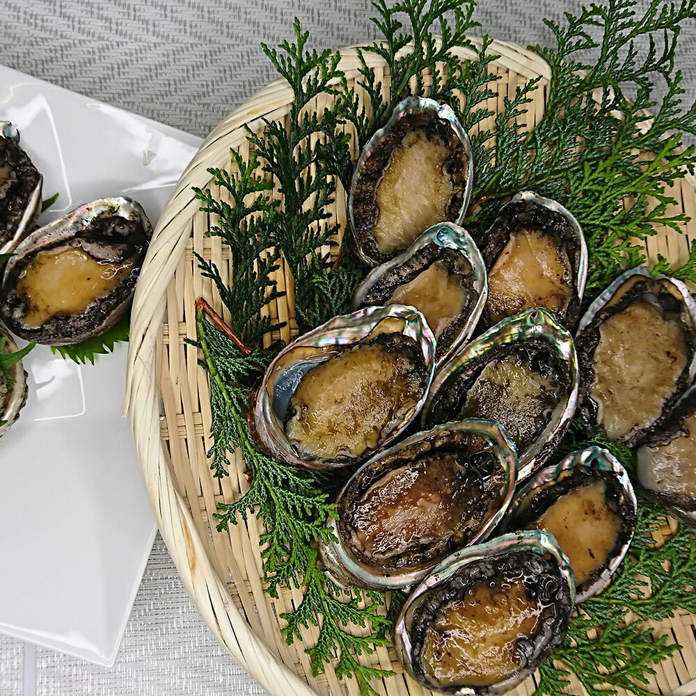 北海道産無選別生冷凍 蝦夷あわび 300g【送料込み】【お届け不可地域：沖縄・離島】