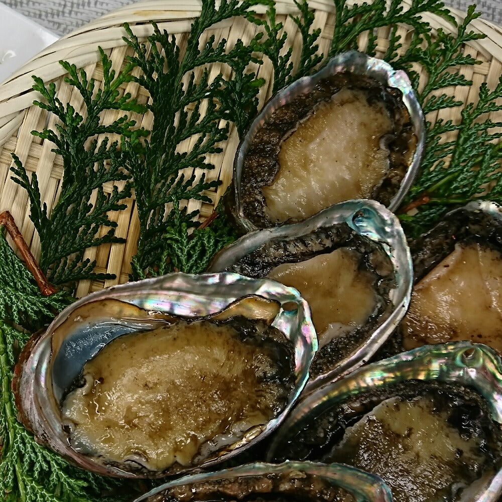 北海道産無選別生冷凍 蝦夷あわび 300g【送料込み】【お届け不可地域：沖縄・離島】