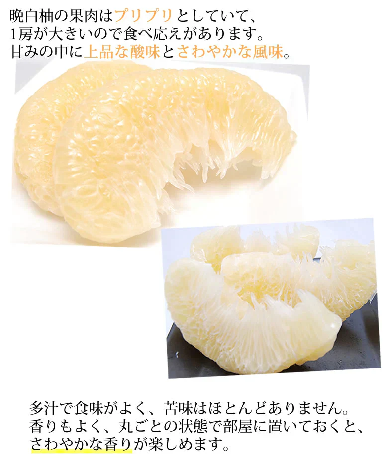 晩白柚 みかん ばんぺいゆ 訳あり 送料無料 約3kg〜4kg 2玉入 M〜2Lサイズ 世界最大級の柑橘 熊本県八代産 蜜柑 ミカン