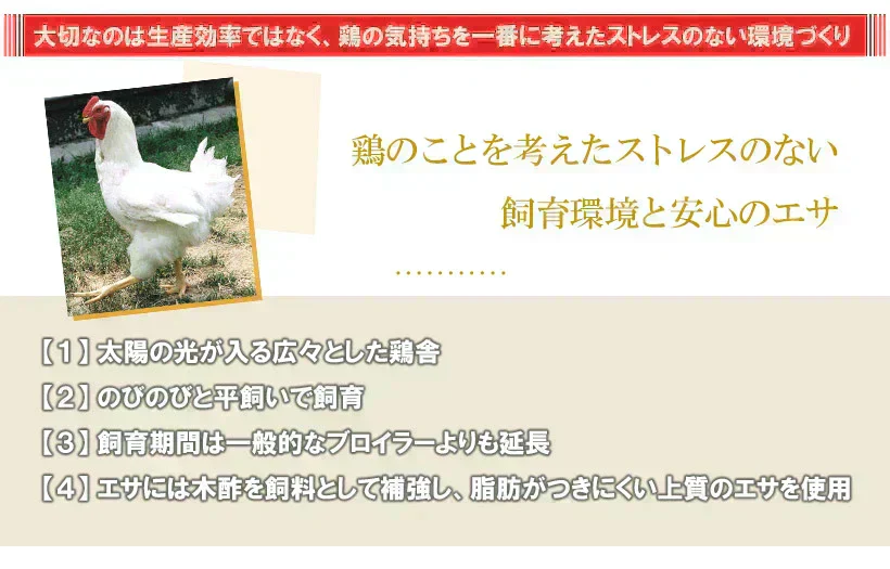 【お買い得】鶏肉 水郷どり切り落とし（もも肉・むね肉）（計３kg）  切り落とし 端っこ 訳あり 鶏肉 焼肉 焼き肉 国産 千葉県産