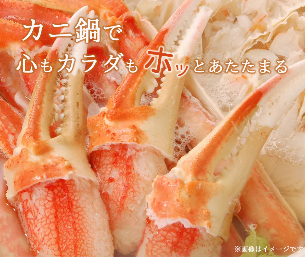 ズワイガニ 7L ずわい蟹 ボイルズワイ蟹 カニ爪 500g 送料無料 カニ爪ポーション 蟹爪 かにつめ むき爪 カニしゃぶ カニ鍋 shr-024