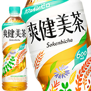 【3~4営業日以内に出荷】［代引不可］コカコーラ 爽健美茶 600mlPET×24本×2ケース［賞味期限：3か月以上］1セットまで1配送でお届けします【送料無料】北海道・沖縄・離島は送料無料対象外［税別］