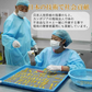 【30g】大地の生菓 無添加 ドライフルーツ パイナップル  送料無料 砂糖 保存料 不使用 お試し 製菓材料