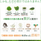 『ご購入の方10人に1人DHAサプリ1ヶ月分が当たる』【輝きの青汁プラセンタ 入り 3g×30包入り 送料無料】 ダイエット サプリメント 大麦若葉 抹茶 乳酸菌 食物繊維 ビタミンC カルシウム だけでなく 青汁プラセンタ