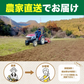 予約【6月30日までに注文順に発送】旬のトロ甘「新玉ねぎ」をたっぷりお届け！約1.9㎏（最低1800g保証）農家直送【九州～関西～関東～北陸 発送可】【カウシェファーム収穫対象商品】送料無料