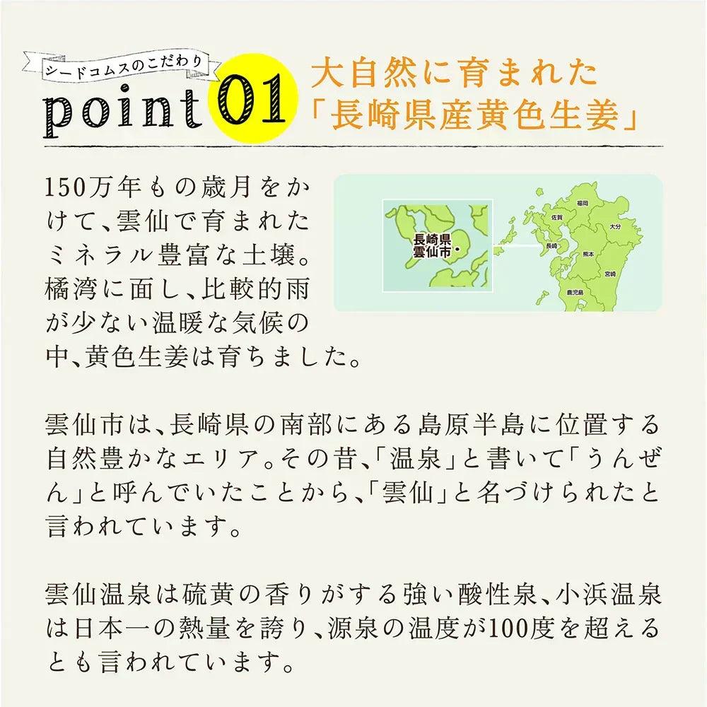 しょうが美人 ペースト 《1箱31包入り》 長崎県産しょうが使用 化学調味料　着色料保存料香料全て一切不使用　かぼす 黒糖 生姜 冷え ジンジャー シロップ エール ドリンク ダイエット ゼリー