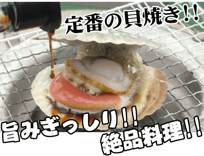 青森 活ほたて 殻付き 中大2キロ（約12枚～18枚）【冷蔵便】 養殖　奇跡の海『むつ湾』からホタテ漁師が贈る逸品