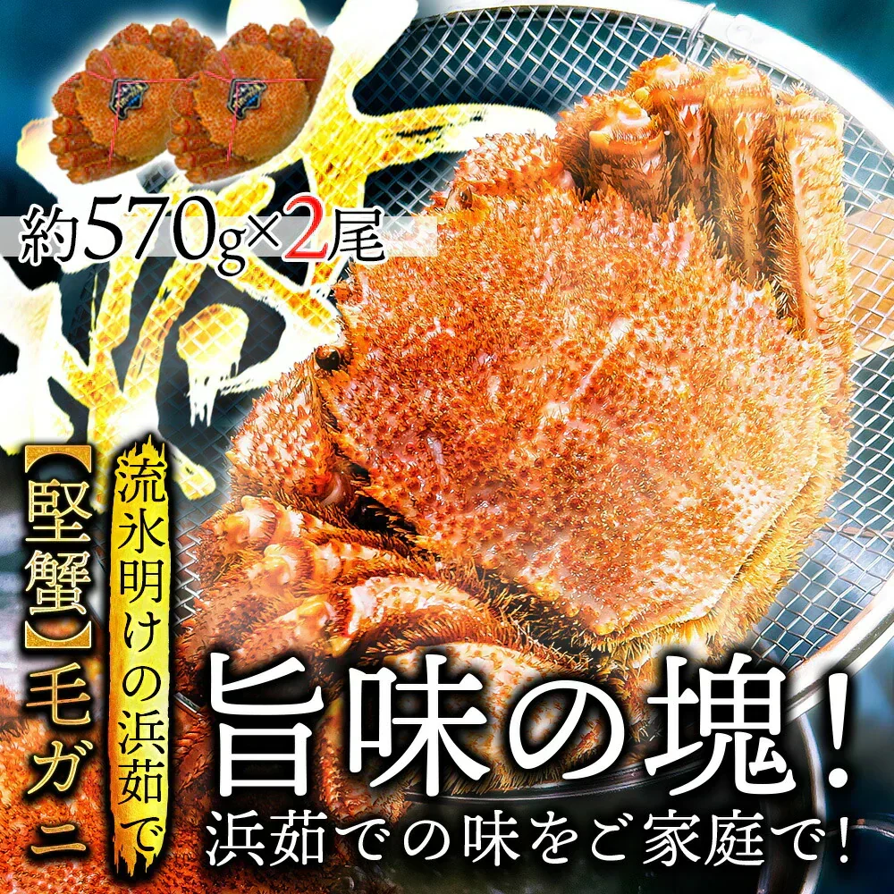 30%OFF★北海道産 浜茹で毛蟹 約570g×2尾【本州～九州エリア送料無料】