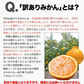 2024 福袋 みかん 福袋 送料無料 高級フルーツ 黒毛和牛 が当たるかもデコポン 干し芋 柑橘 果物 フルーツ 予約 3月上旬-3月末頃より発送予定【福袋】