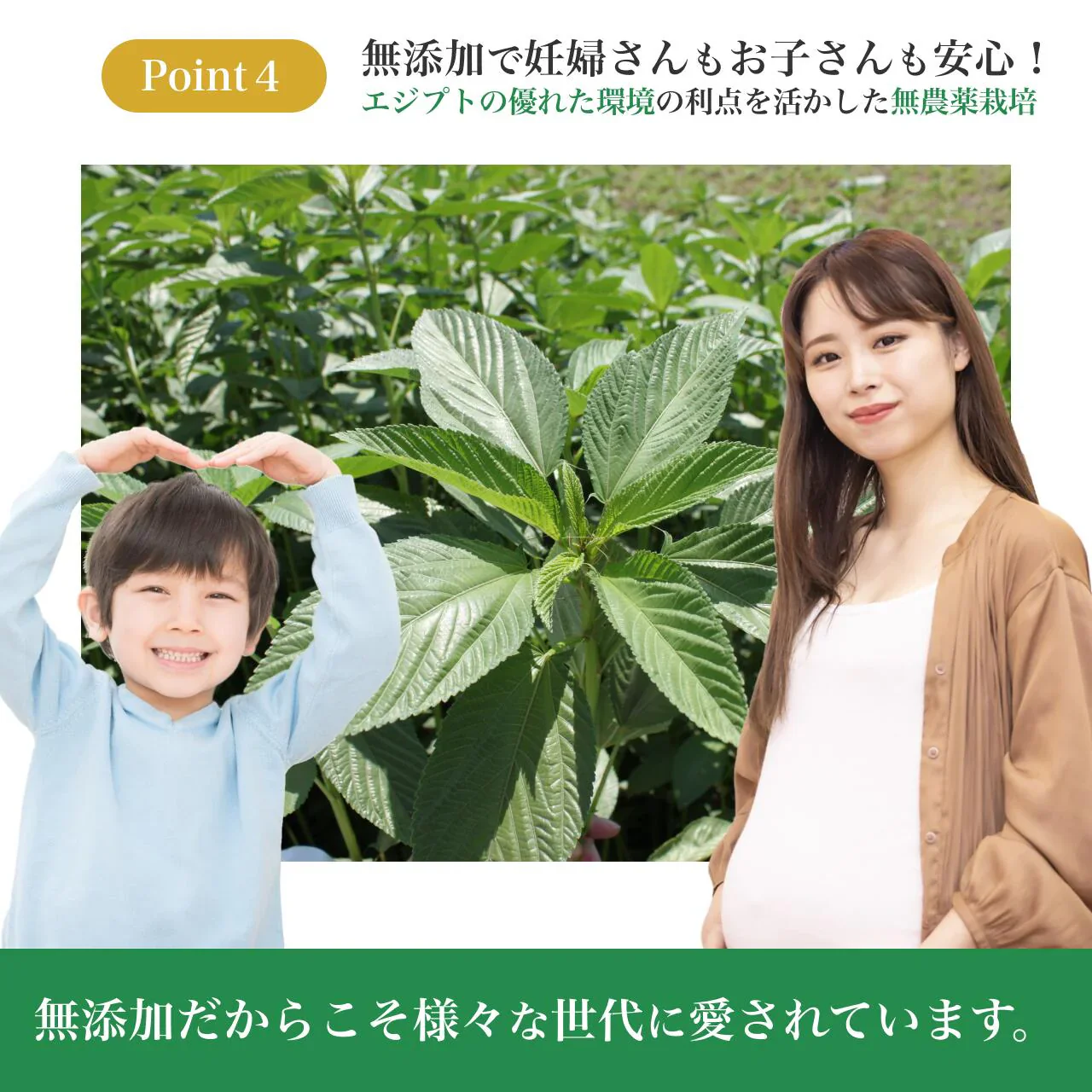 スッキリ恵みの青汁粒 100粒入り　3袋セット