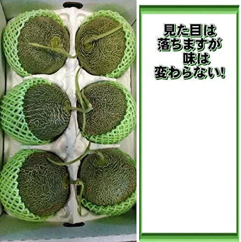 【6月上旬～7月上旬発送予定】肥後グリーンメロン 訳あり 箱込約７キロ（3～6玉入り）熊本産　120サイズ
