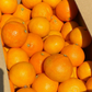 愛媛の高級柑橘　本場！愛媛のまどんな　ご自宅用　2ｋｇ(箱代込み）