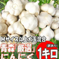青森県産にんにく 1㎏ 訳あり C品 Mサイズ以上大玉混合 福地ホワイト六片種