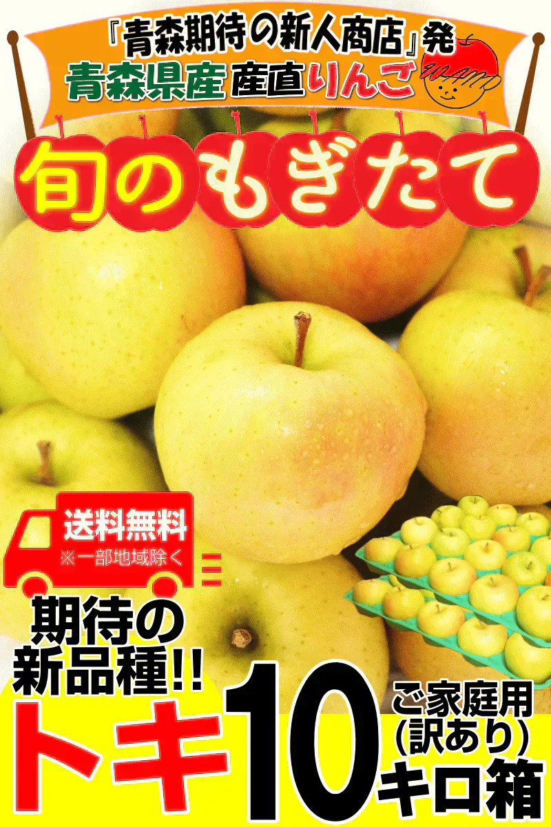 【即日発送】青森県産 りんご トキ 10kg箱 家庭用/訳あり ★トキ 家訳 10kg箱