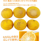 【2月下旬～3月上旬頃より順次出荷】甘夏 みかん 訳あり 10kg 箱込 (内容量9kg+補償500g)  送料無料 サイズ無選別 熊本県産 あまなつ 川野夏橙 蜜柑