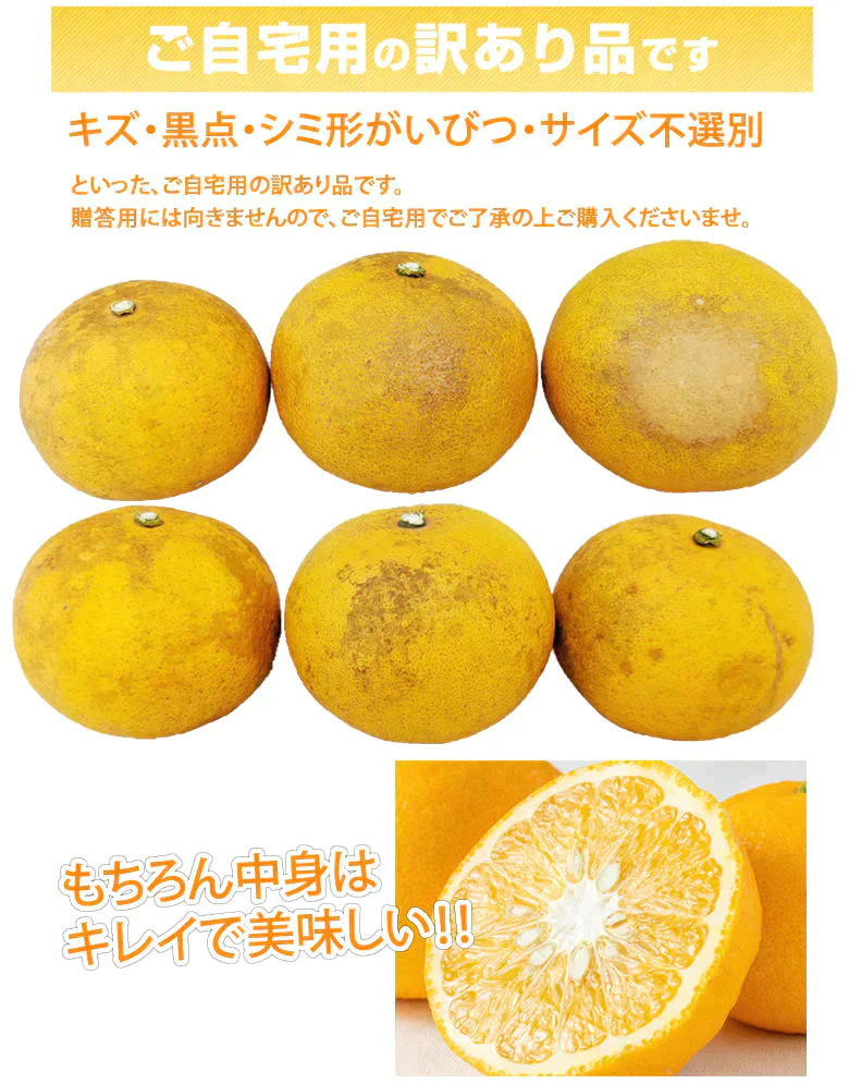 【2月下旬～3月上旬頃より順次出荷】甘夏 みかん 訳あり 10kg 箱込 (内容量9kg+補償500g)  送料無料 サイズ無選別 熊本県産 あまなつ 川野夏橙 蜜柑