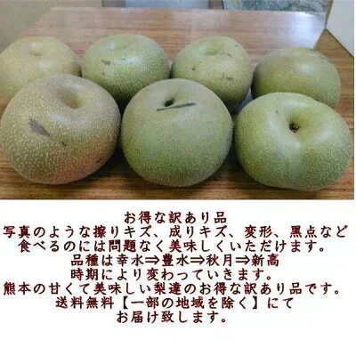 梨 訳あり（愛甘水・幸水・豊水・秋月・新高・愛宕・新興・秋麗・甘太など）約5kg（約5～24玉) 旬な品種をお届け【8月下旬頃～9月下旬順次発送】
