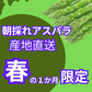 500g【朝採順次発送中】北海道産アスパラガス500g グリーンアスパラ アスパラ