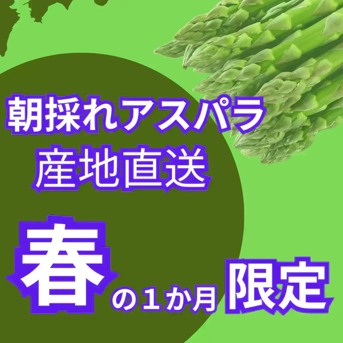 500g【朝採順次発送中】北海道産アスパラガス500g グリーンアスパラ アスパラ