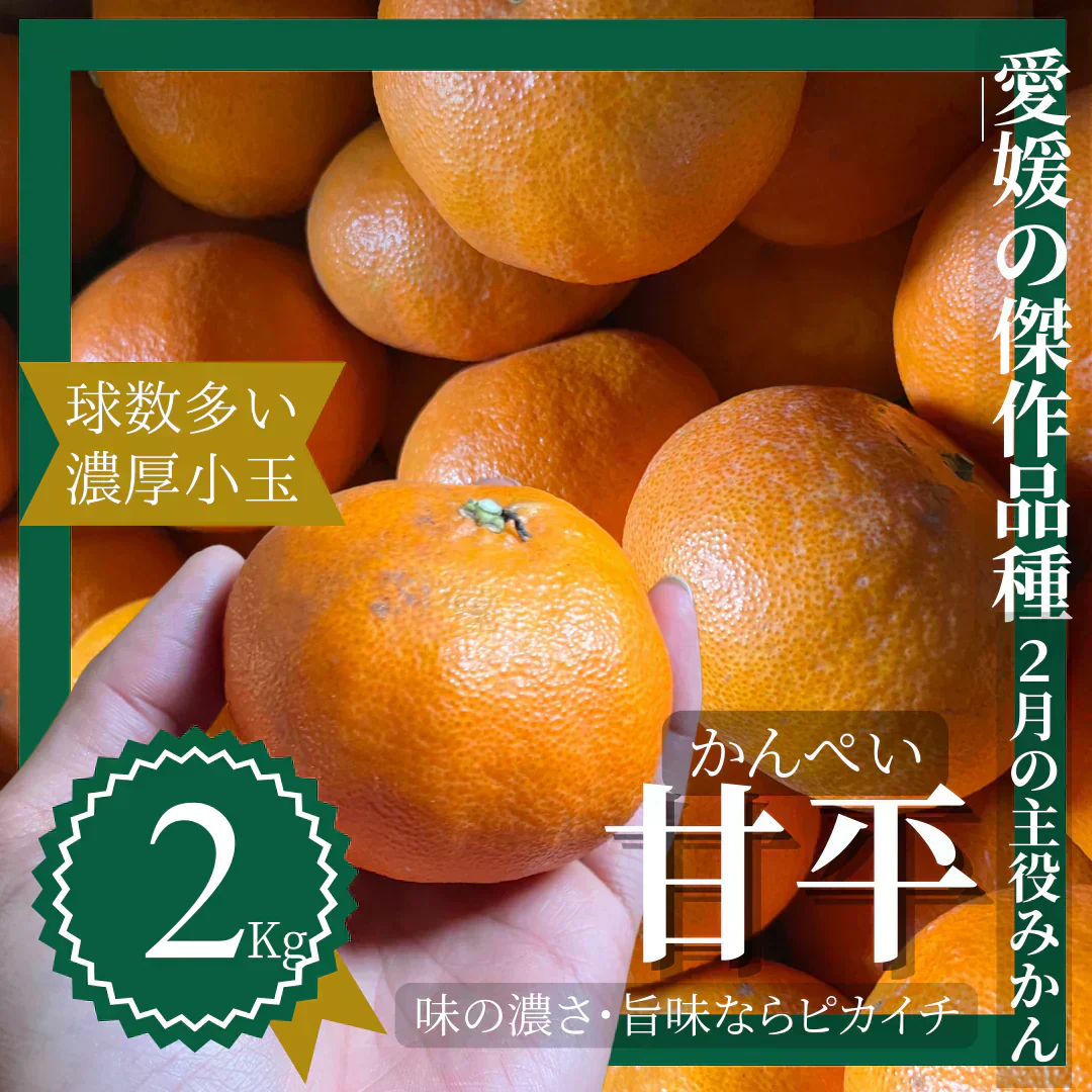 ご家庭用　愛媛県　お試し　甘平S～2Lサイズ　2kg