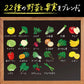 【1ケース】【送料無料】 デルモンテ つぶ野菜 グリーンサラダ mix 900ml ペットボトル 12本 リコピン リッチ ベジタブルジュースりんごりこぴん野菜トマト 食塩無添加 無塩